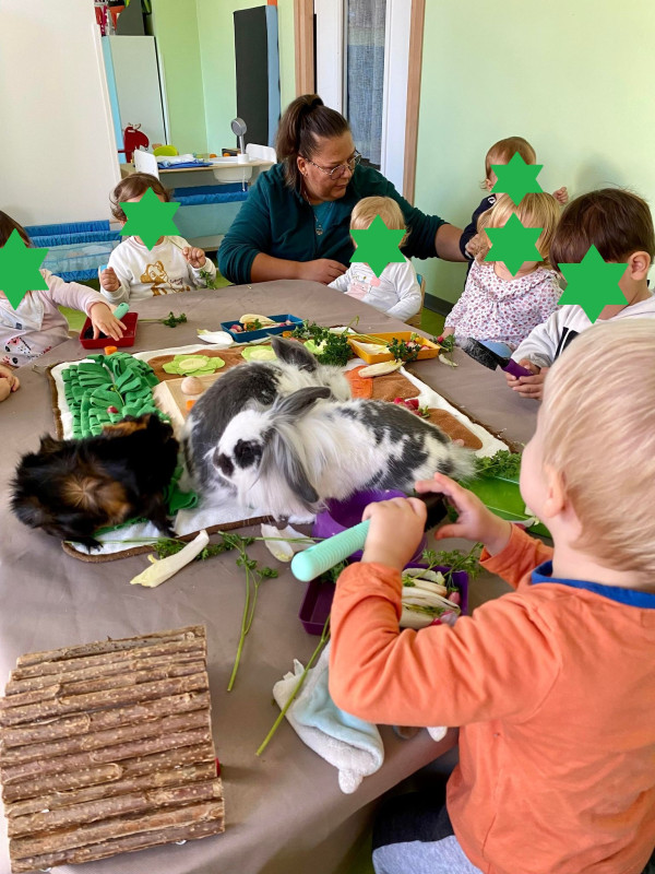 Micro-crèche Les Chérubins de Saint-Louis