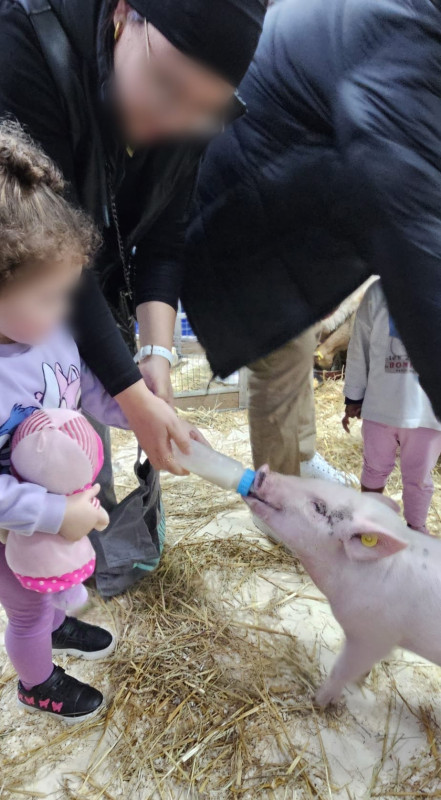 Micro-crèche Le Repaire de Timéo & des Chérubins